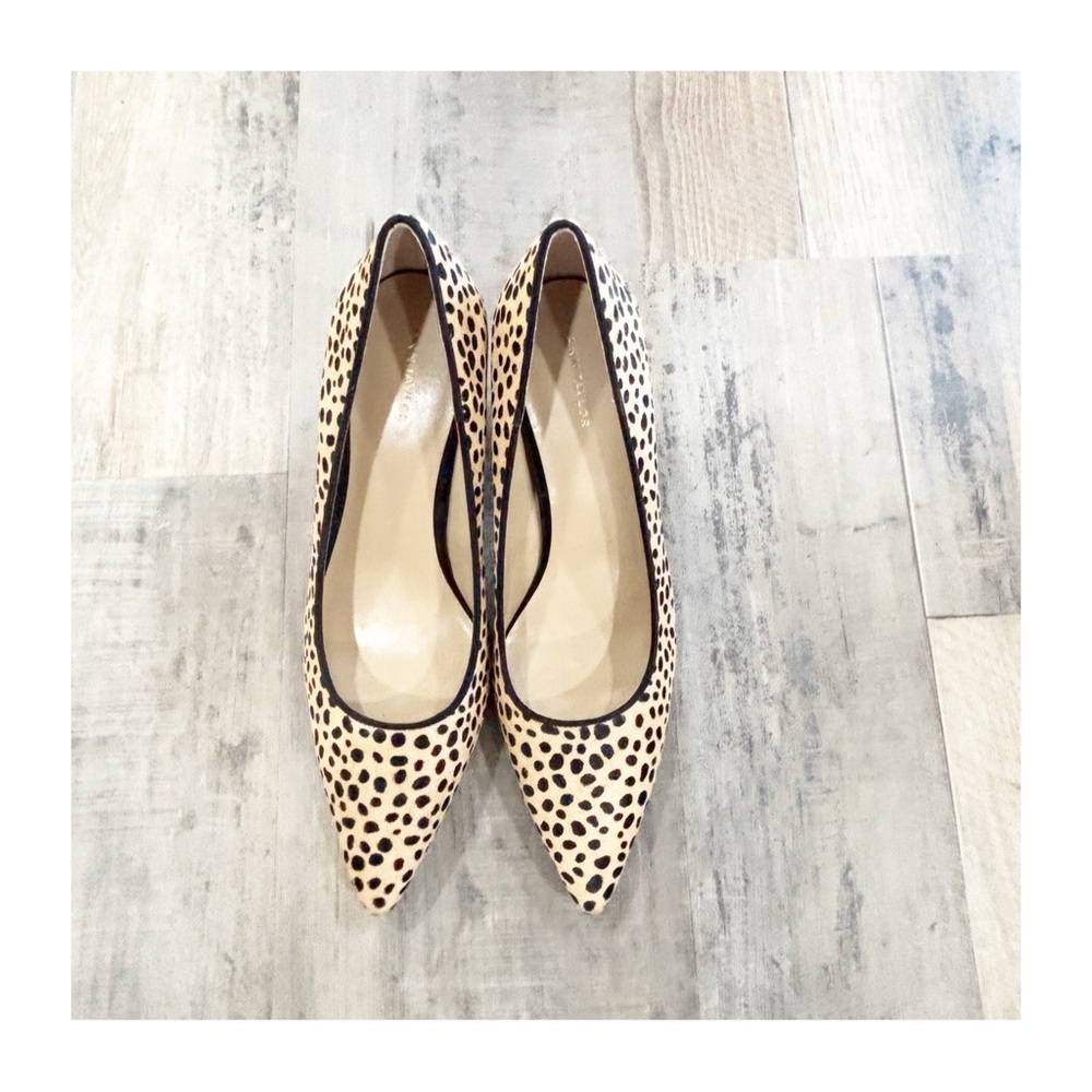Ann Taylor Women’s Leopard Heels